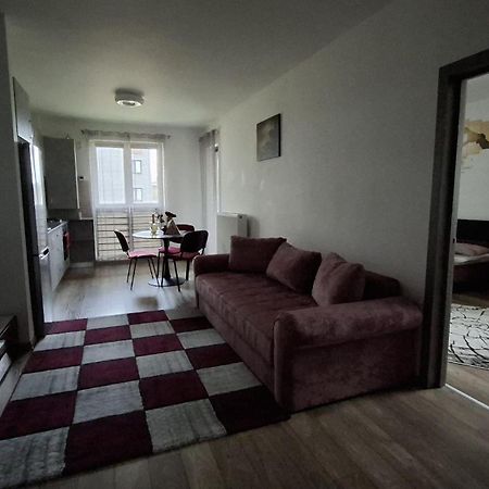 Ludi House Apartment Târgu-Mureş Exteriér fotografie