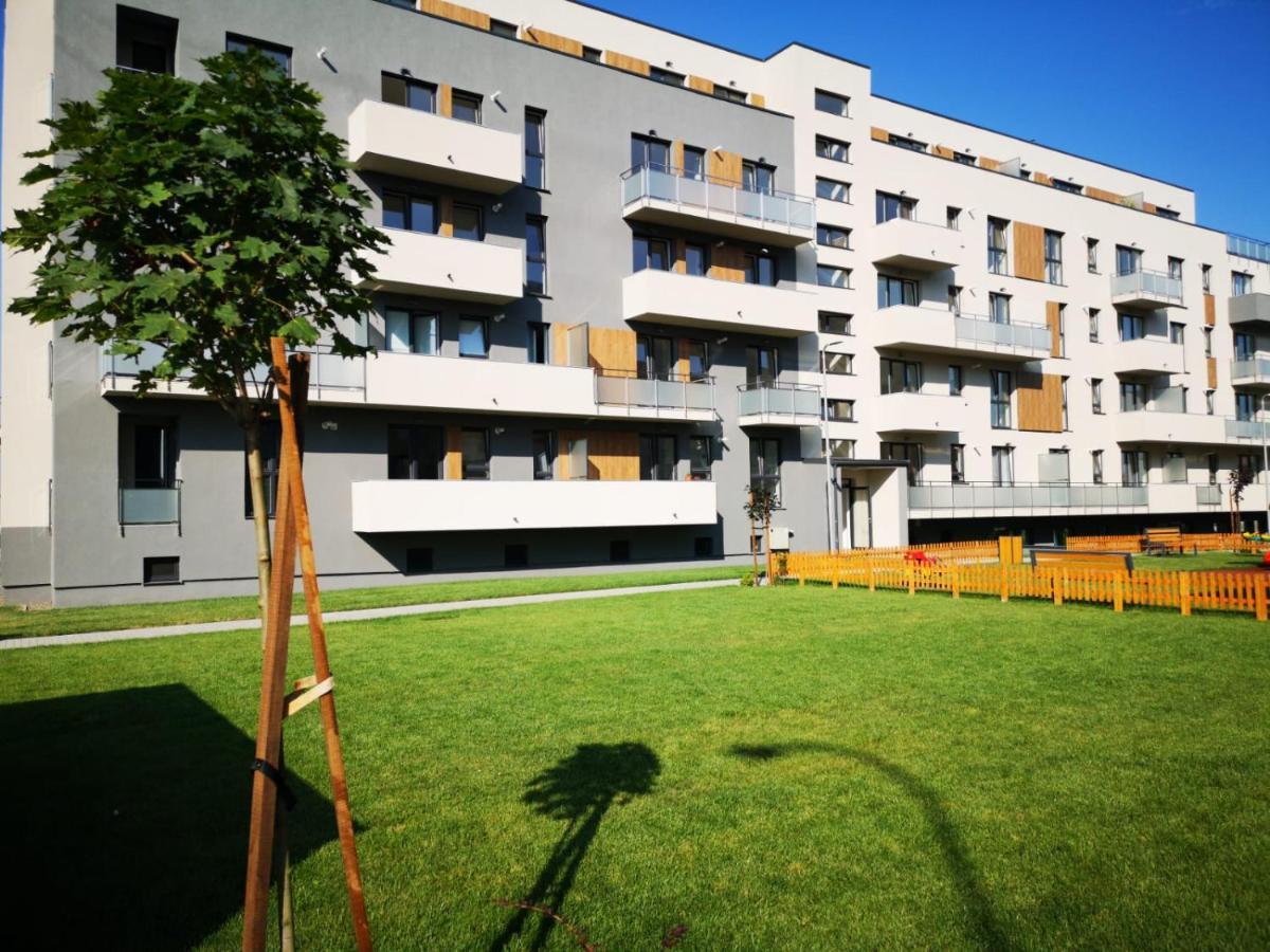 Ludi House Apartment Târgu-Mureş Exteriér fotografie