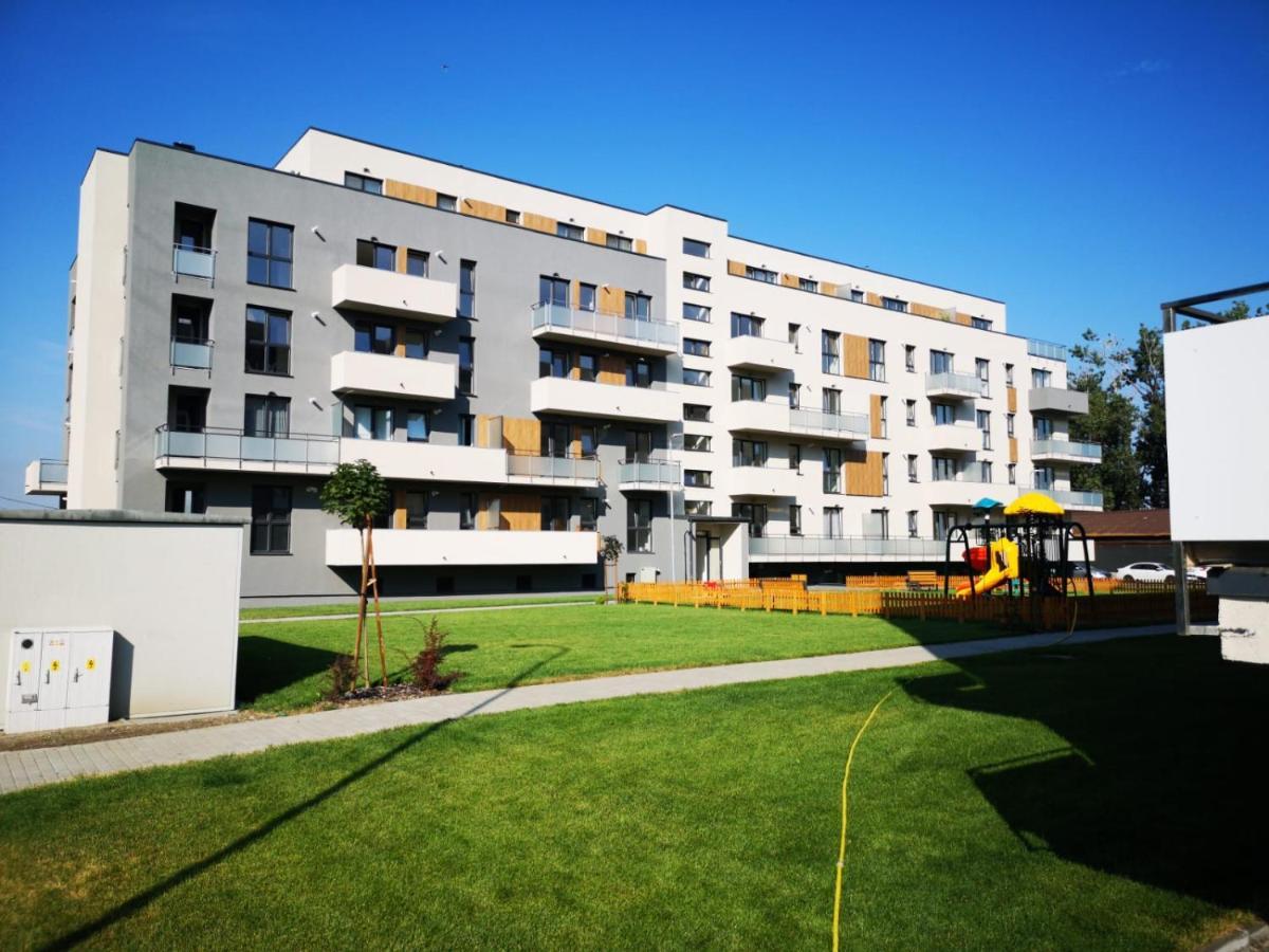 Ludi House Apartment Târgu-Mureş Exteriér fotografie