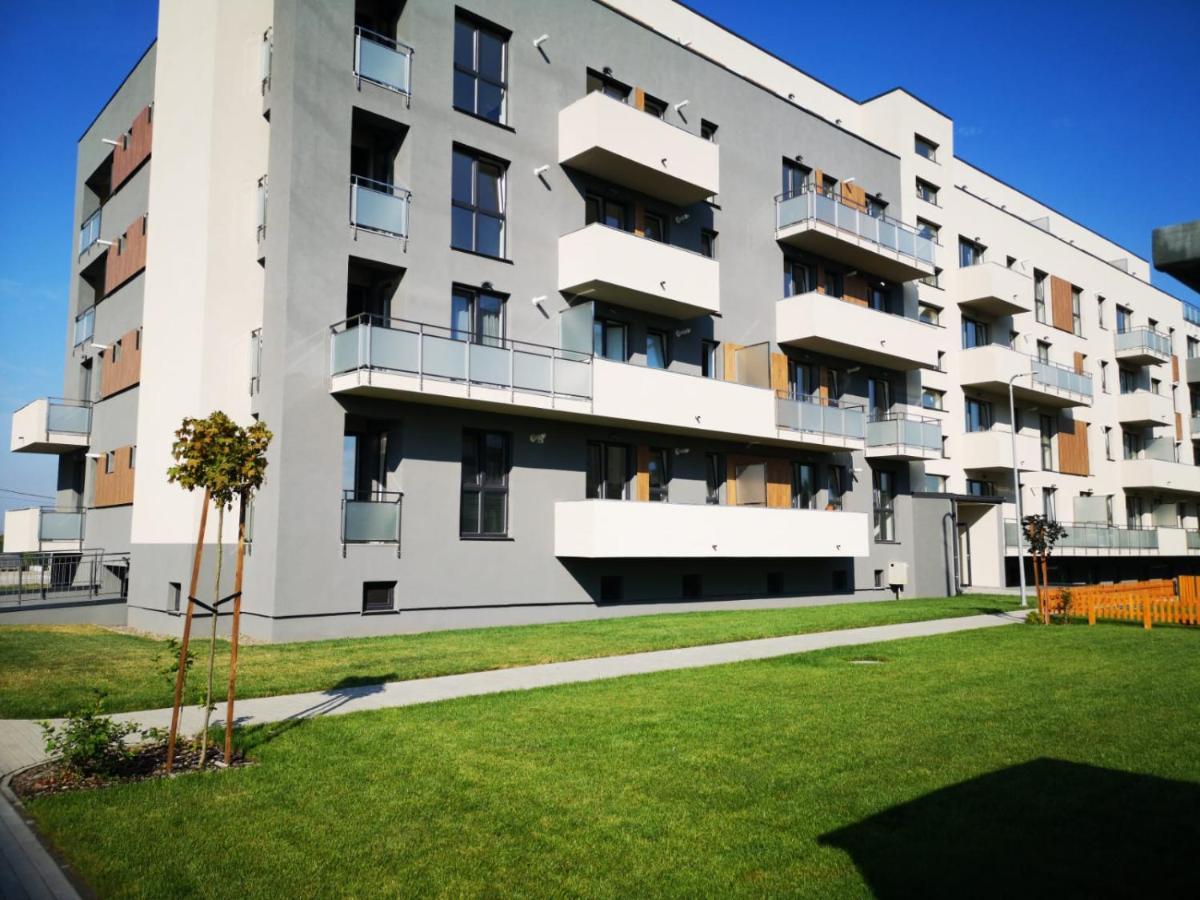 Ludi House Apartment Târgu-Mureş Exteriér fotografie