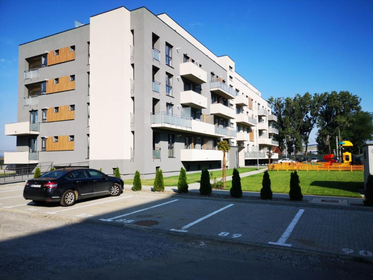 Ludi House Apartment Târgu-Mureş Exteriér fotografie