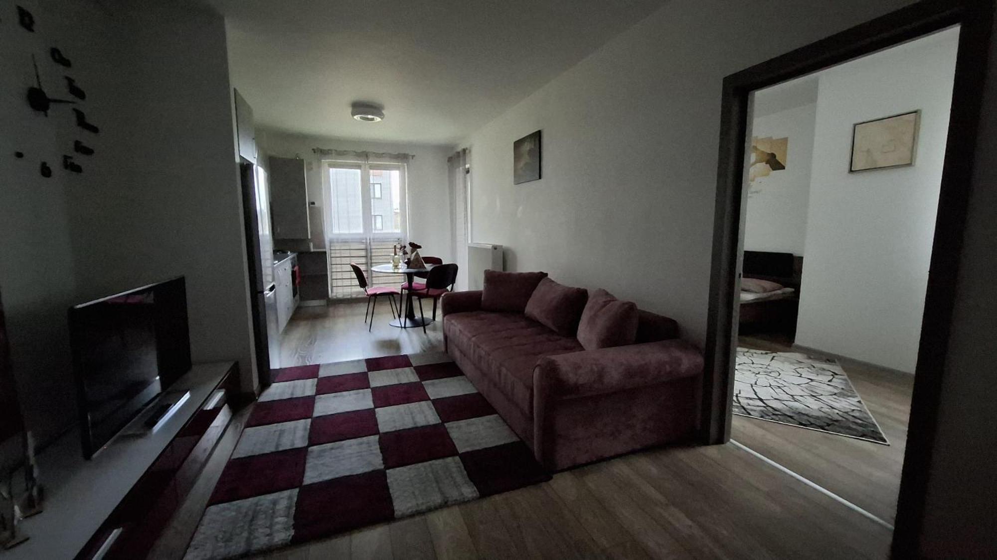 Ludi House Apartment Târgu-Mureş Exteriér fotografie